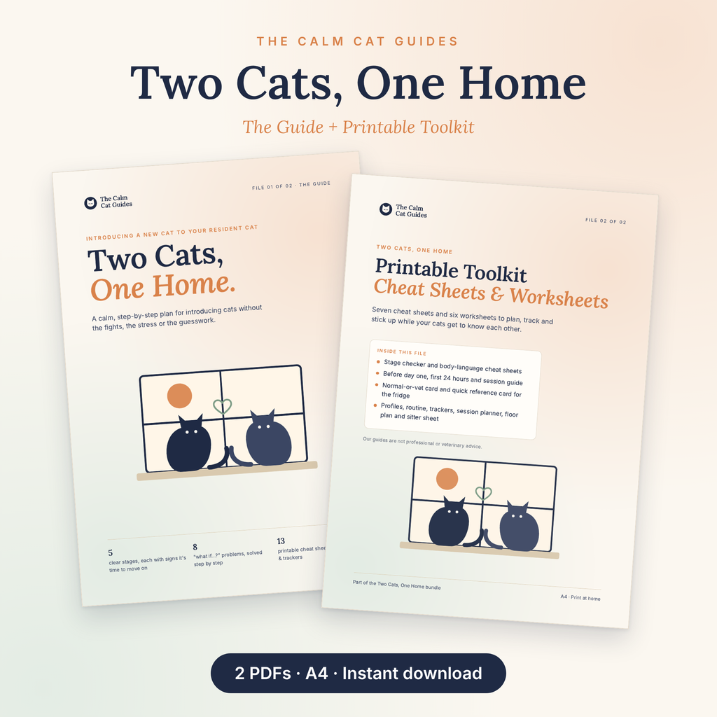 Two Cats, One Home